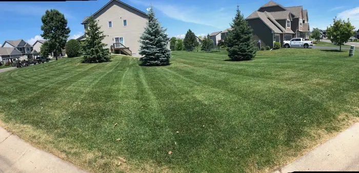 Wide view of a freshly striped lawn on a corner lot