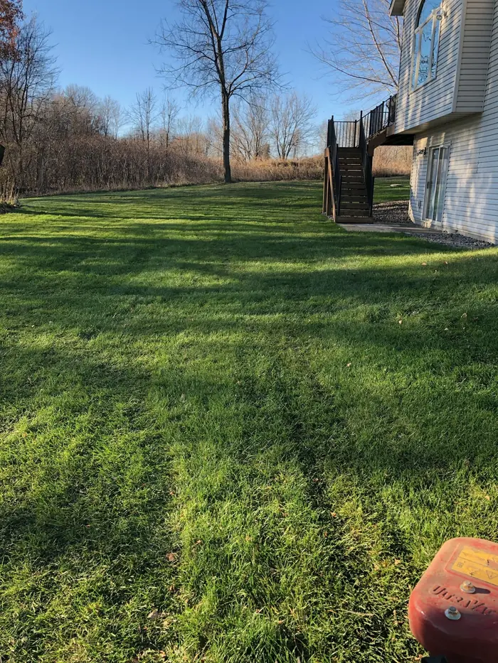 Large striped lawn behind a house with trees at the edge