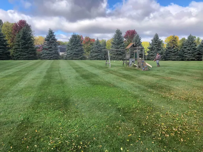 Striped lawn around a wooden swing set